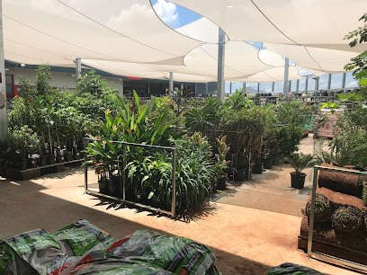 Bunnings Palmerston