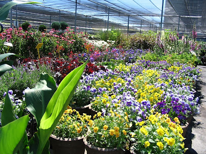 Ritchie Feed & Seed Inc | Ottawa East
