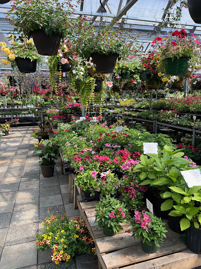 Dÿkhof Nurseries