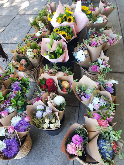 Poppy Rose - Flower Delivery Brisbane