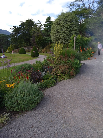Muckross Traditional Farms
