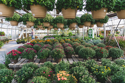 Les Serres Robert Plante Greenhouses