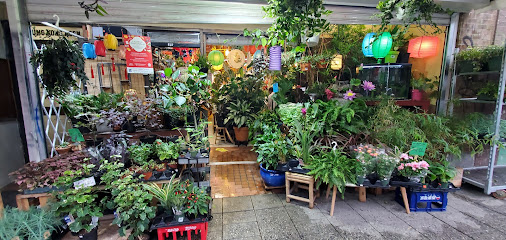 Bamboo Village