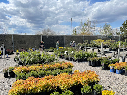Spruce It Up Garden Centre