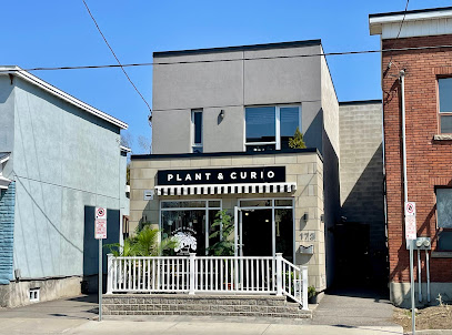 Plant & Curio