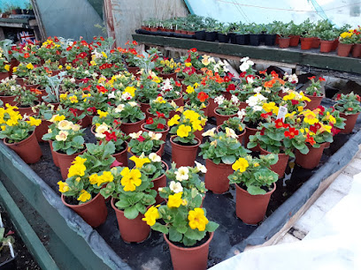 J G Nursery
