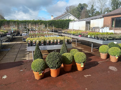 MULVEYS Garden centre