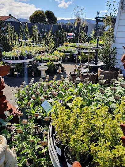 New Town Station Nursery