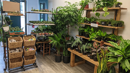 House of Plants