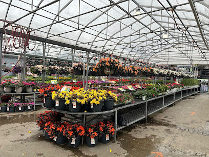 Outdoor Garden Centre at The Home Depot
