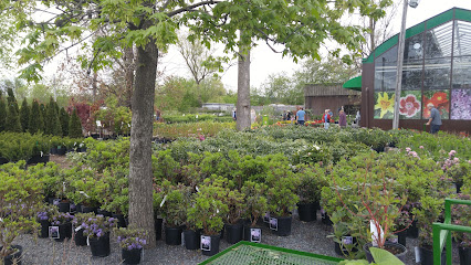 Artistic Landscape Designs Limited