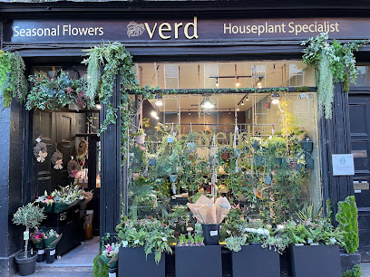 Verd Houseplants - Cork City Centre