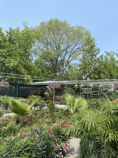 Promise Gardens by Promise Supply | ONLINE ONLY