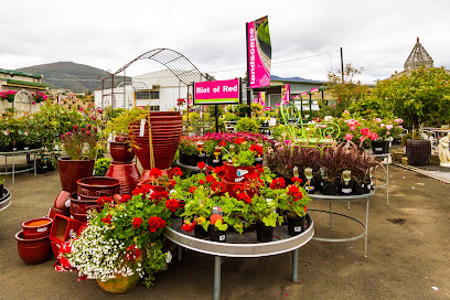 Stoneman's Garden Centre