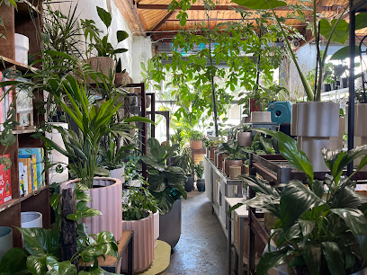 The Plant Society