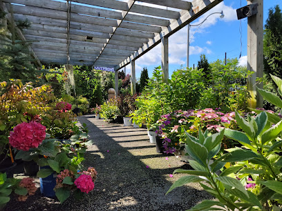 Summerhill Nursery & Floral