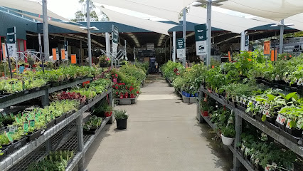 Bunnings Southport
